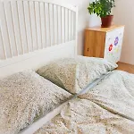 דירה Peaceful & Cozy Flat In ברטיסלאבה